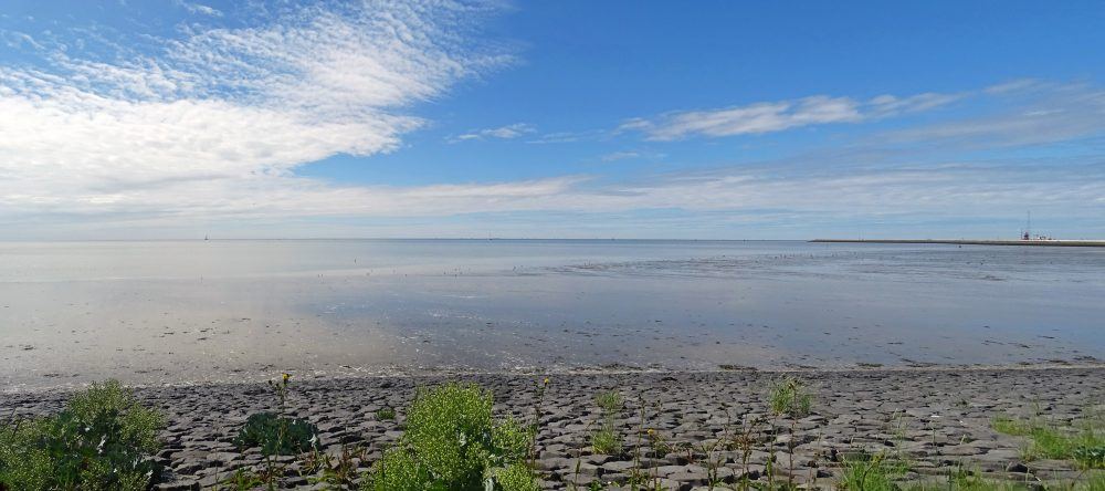 Waddenzee omgeving Harlingen